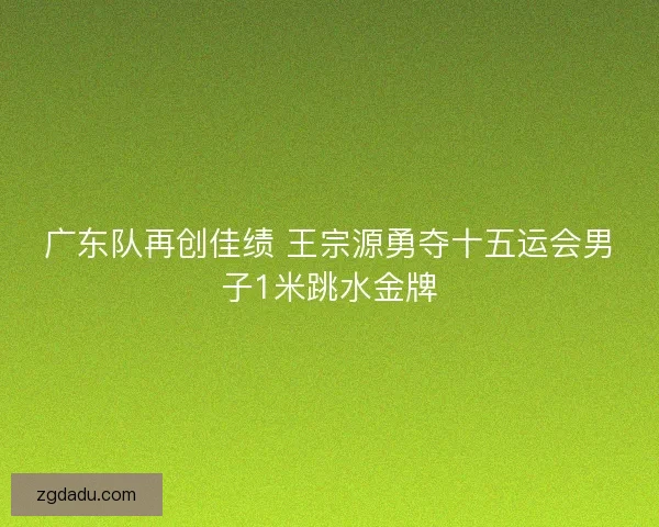 广东队再创佳绩 王宗源勇夺十五运会男子1米跳水金牌